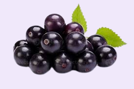 black currant